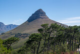 lionshead landscape in the mountains with trees in the foreground