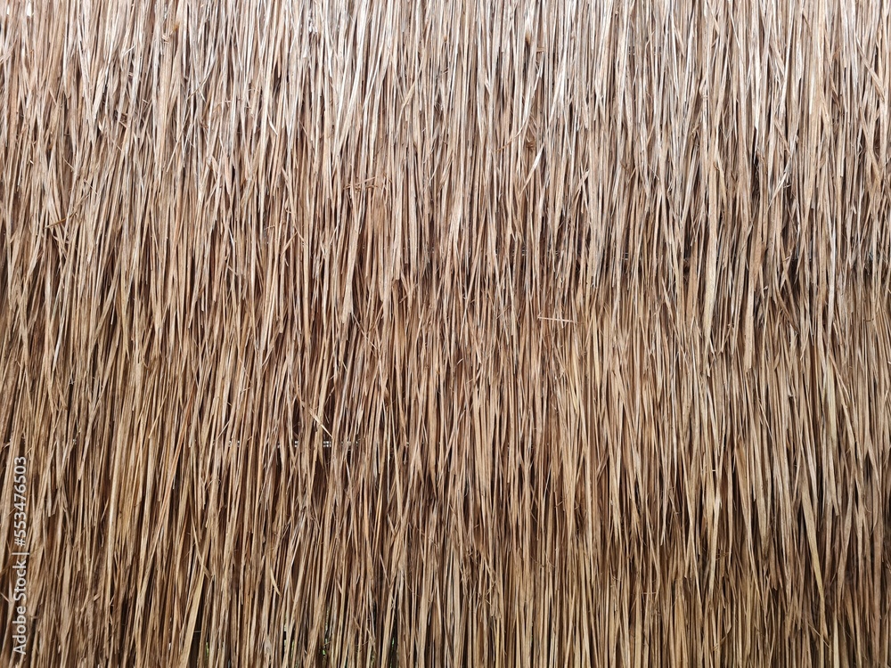 Thatched roof covered with Blady grass or Imperata cylindrica. Natural background and texture. Traditional roof. Thatched roof covered with Blady grass or Imperata cylindrica. Natural background and texture. Traditional roof.