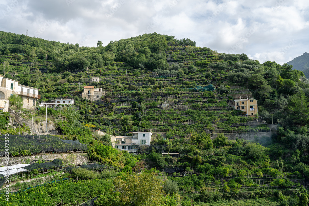 Terraces Carved into the Mountainside by Homes to Grow Lemons on the Amalfi Coast of Italy