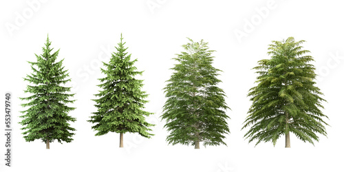 set of pine cones isolated on white Fototapet