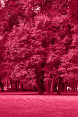 Acrylglasbilder Pantone 2023 Viva Magenta Viva Magenta colour park landscape. Garden monochrome background. Trendy color 2023.  © kizuneko