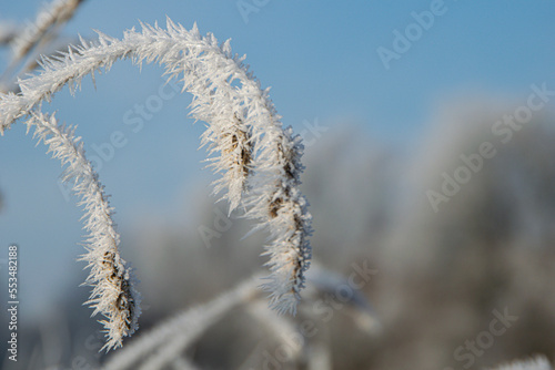 frost on the grass © Bertigrafie