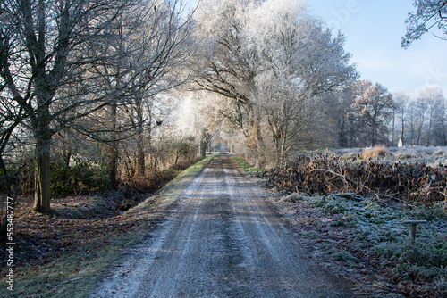 road in winter