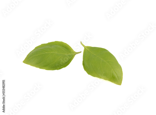 Top view of two green basil leaves on a white background.