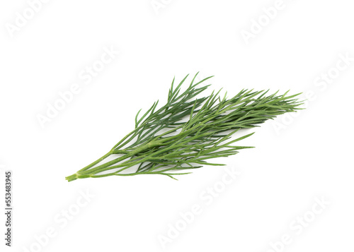 The top of a branch of fresh dill lies on a white background.