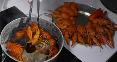 Live crayfish are thrown into boiling water for cooking. Cooking live crayfish. photo