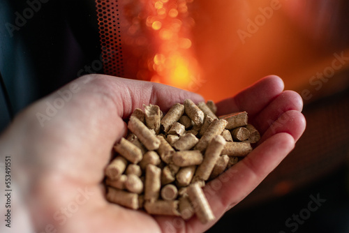 Hand holding pellets in front of the glass of a stove with a beautiful flame
