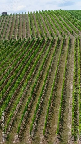 Vertical video of Aerial shot of a vineyard on the side of a hill, moutains in background photo