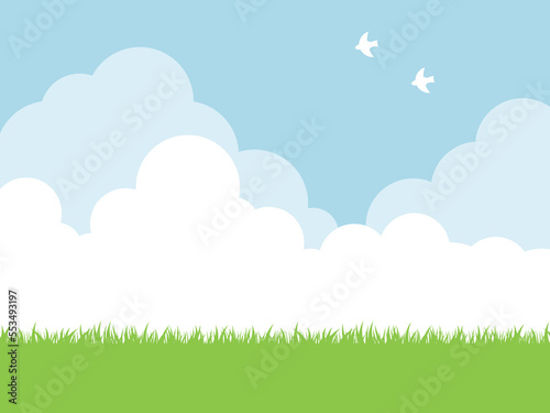 芝生と鳥が飛ぶ青空