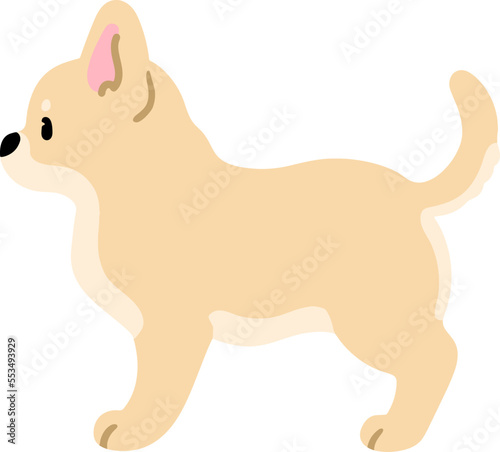 Simple and cute illustration of cream colored Chihuahua in side view flat colored