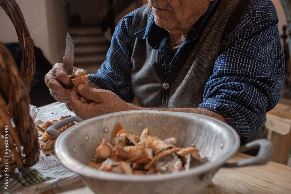 detail of old man's hands cleaning mushrooms with knife, basket with dirty and clean mushrooms cut in a sieve