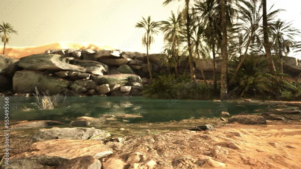 Colorful scene with a palm tree over a small pond in a desert oasis