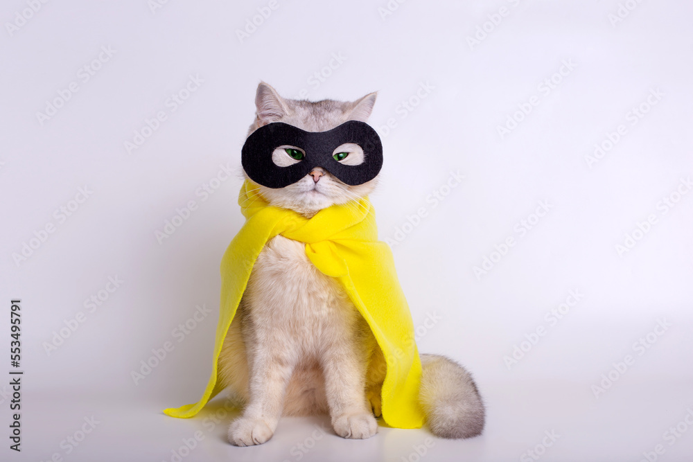 A sly white cat with green eyes, wearing a yellow raincoat and a black mask, on a white background.