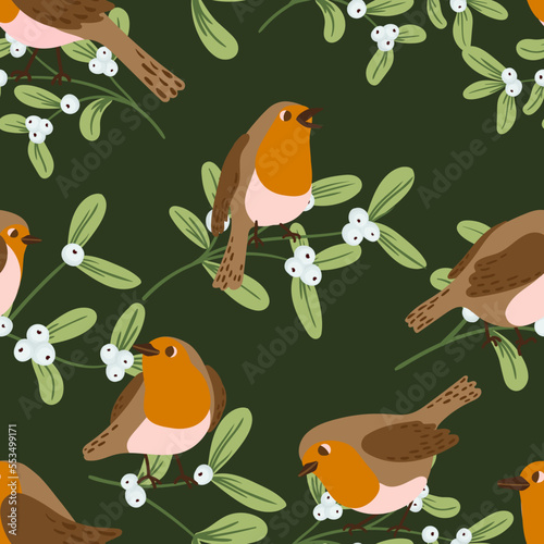Robin birds and mistletoe vector seamless pattern. Birds and pland winter, christmas texture.