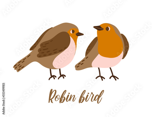 Cartoon robin bird. Cute winter bird. Vector illustration for prints, clothing, packaging, stickers © Iryna