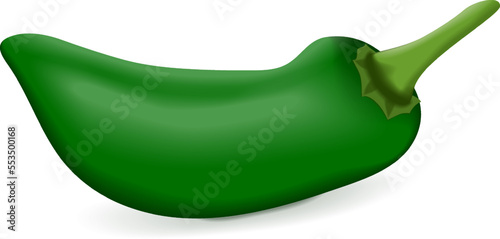 Green Jalapeno chili peppers. Jalapeno. Capsicum annuum. Chili pepper. Fresh organic vegetables. Vector illustration isolated on white background.