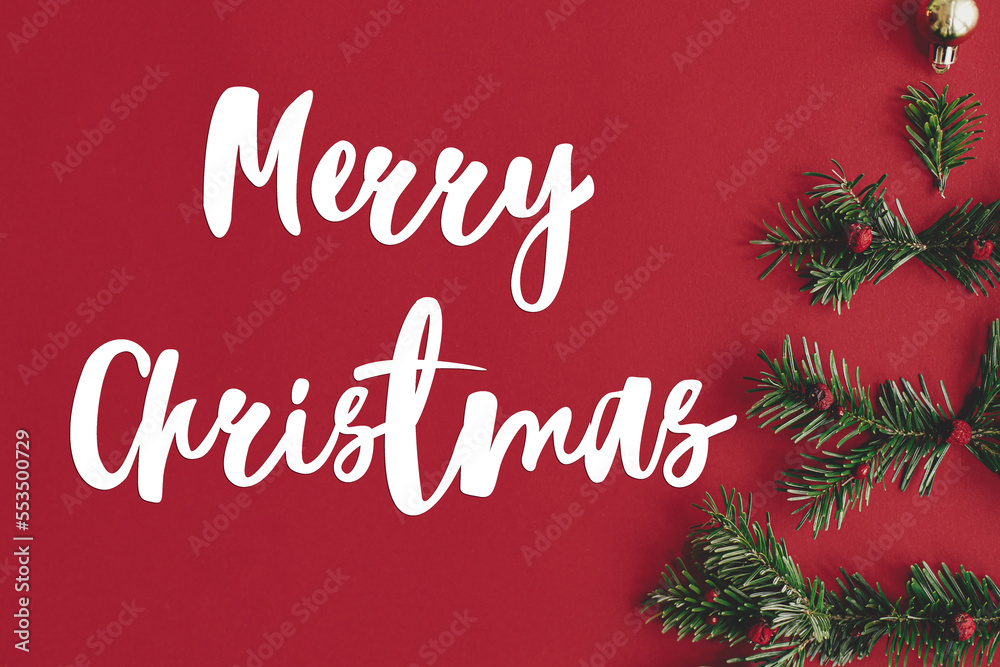 Merry Christmas text on christmas tree made of fir branches, red berries, bauble on red background flat lay. Season's greeting card. Handwritten sign