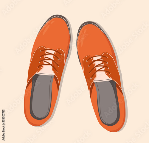 Shoes top down view. Classic brown laced unisex shoes isolated illustration. Hand drawn vector clip art for web and print. Trendy flat lay style illustration. Pair of shoes.