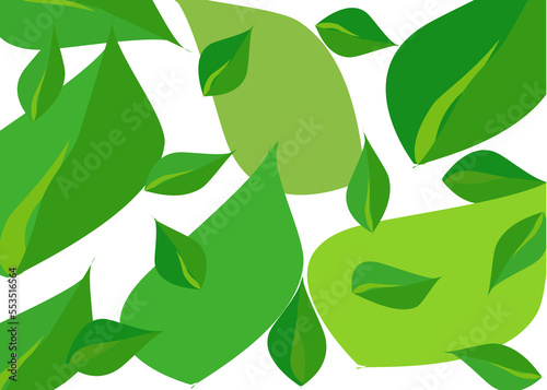 Drawing green leaves . isolate on white background. Copy space for your text and your business.