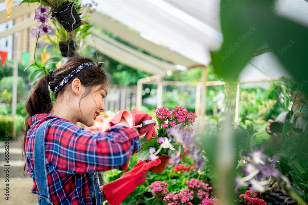 Young adult Asian Female florist caring plant nursery with flowers trimming  Plant care, growing houseplants for sale. Woman gardener working in greenhouse. Modern agriculture gardener owner business.