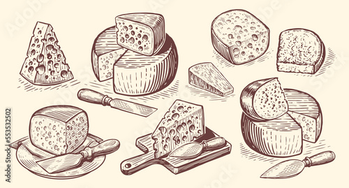 Hand drawn Cheese set sketch. Dairy food collection. Vector illustration in vintage engraving style