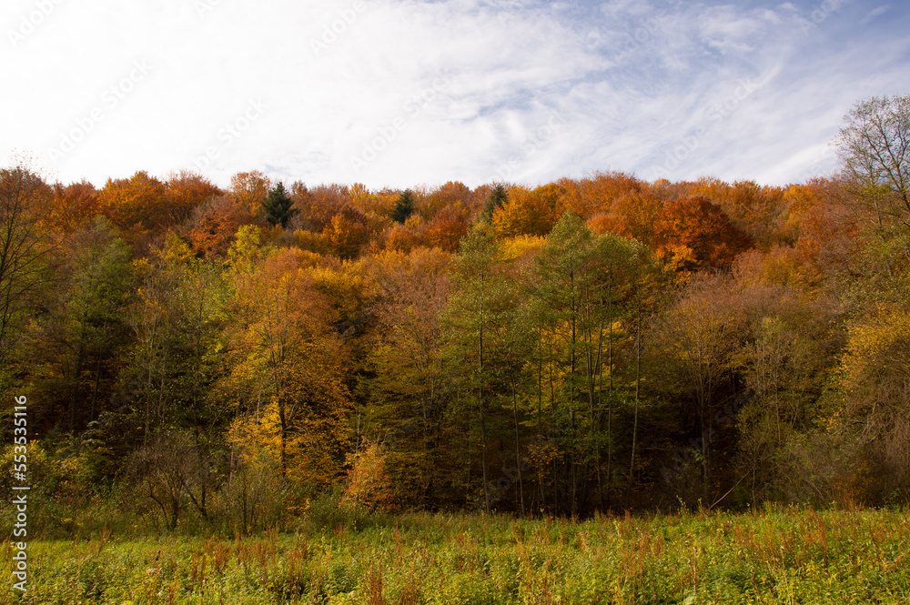 Ojcowski Park Narodowy i jesienny las na tle błękitnego nieba - obrazy, fototapety, plakaty 