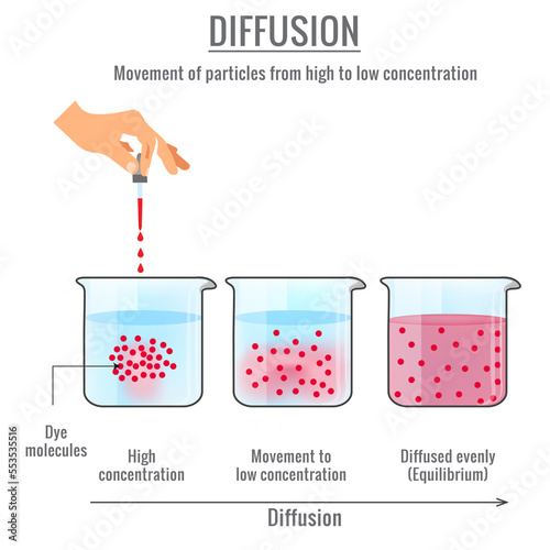 Diffusion the scientific phenomenon of a mixture