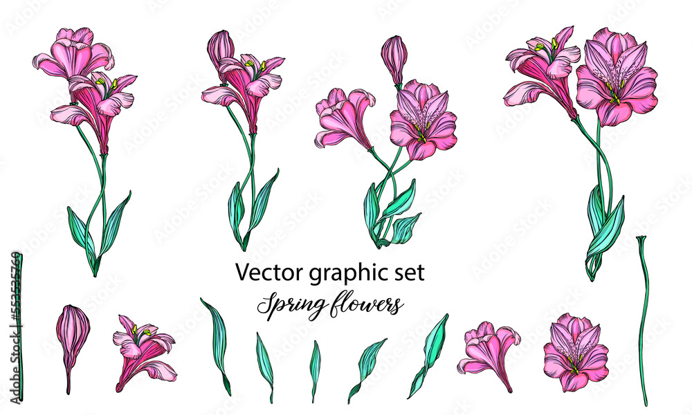 Vector floral arrangements with romantic pink flowers. Isolated on a white background.