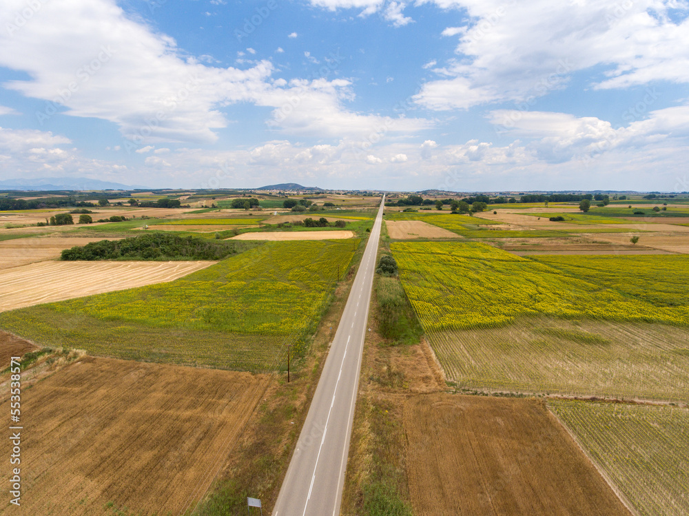 Aerial view of an endless empty road across the fields