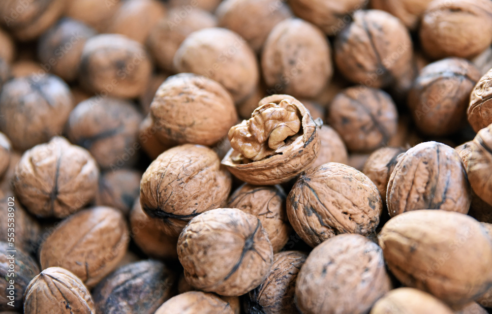 Walnut Walnut