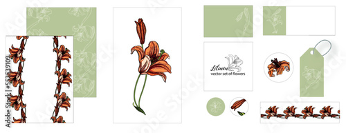 set of postcards with Lily flowers. exotic, romantic, isolated, vintage