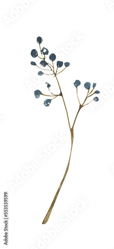 Watercolor berry branch. Greenery png clipart.