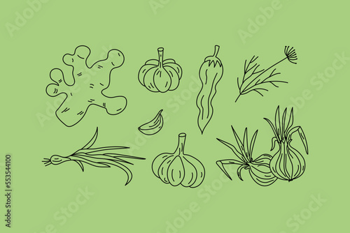 Set of vegetables in doodle style. Vitamin food. Natural vegetarian healthy eating. Ginger, onion, garlic, dill and chili. Hand-drawn text. Vector illustration, drawing, sketch. 