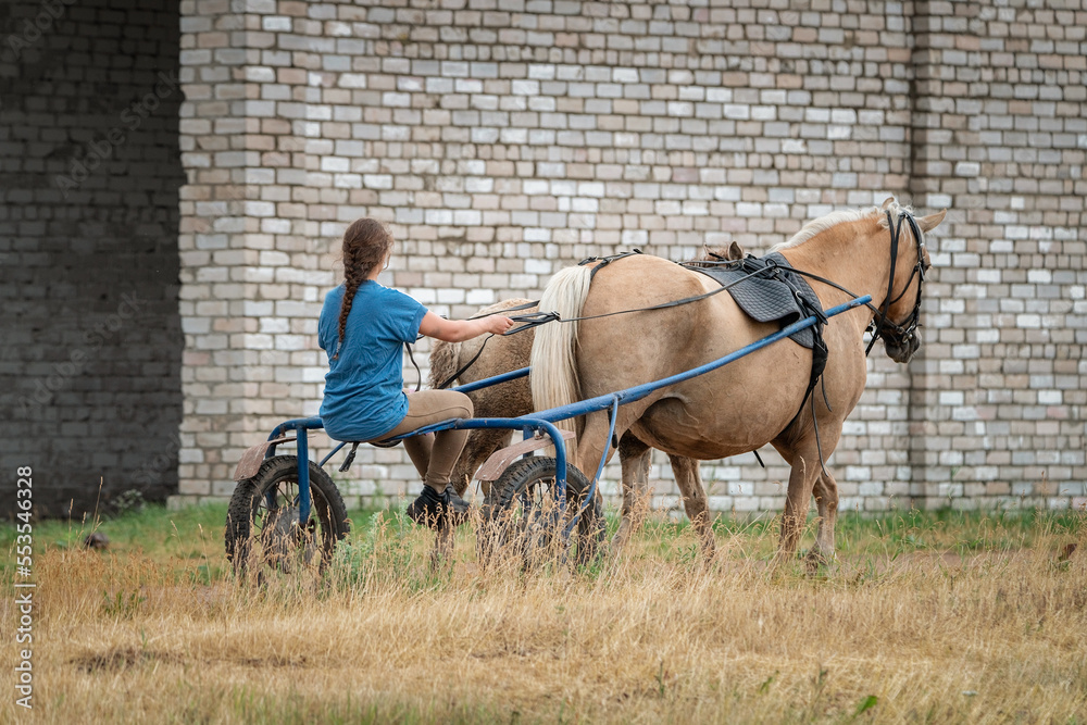 A young beautiful girl rides a britzka around the farm.