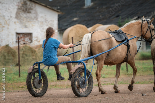A young beautiful girl rides a britzka around the farm.