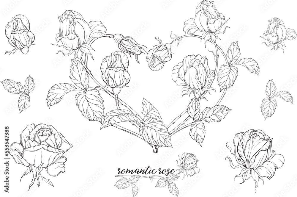 Fototapeta premium Vector set of flower compositions with rose flowers.Heart of flowers.