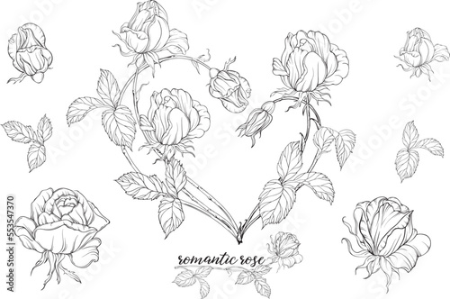 Vector set of flower compositions with rose flowers.Heart of flowers.