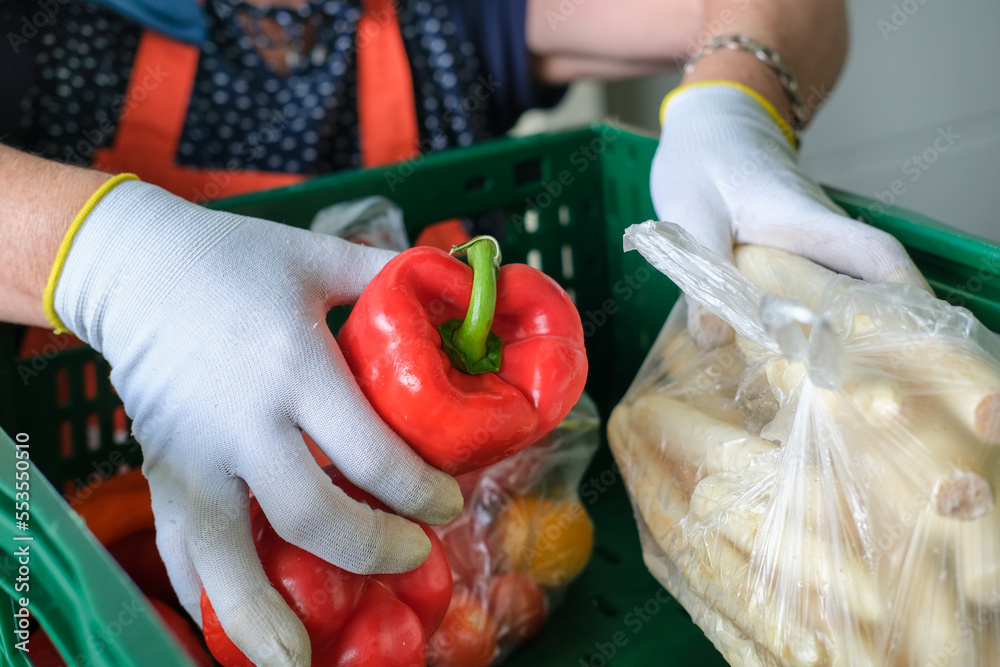 Lebensmittelspende Tafel: Frau mit Handschuhen packt Obst und Gemüse wie frische Paprika in grüne Kisten für die Verteilung an Bedürftige - selektiver Fokus - obrazy, fototapety, plakaty 