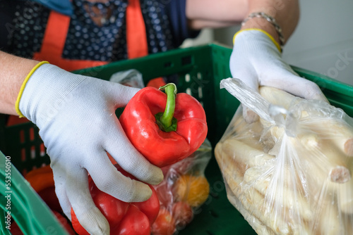 Lebensmittelspende Tafel: Frau mit Handschuhen packt Obst und Gemüse wie frische Paprika in grüne Kisten für die Verteilung an Bedürftige - selektiver Fokus