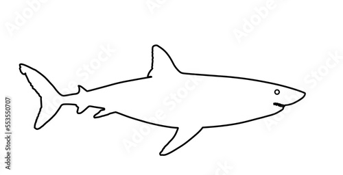 Great white shark line contour vector silhouette illustration isolated white background. Sea predator. Danger on beach alert. Open jaws beast. Divers and swimmers fear. Under water alert ocean killer