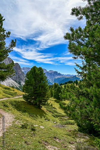 Panorama vom Gipfel des Col Raiser mit Blick auf den Langkofel in den Dolomiten, in Santa Cristina, Valgardena, Bozen, Südtirol Italien © GrebnerFotografie