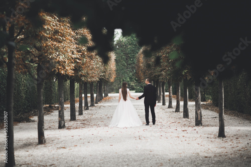 Photography Luxury wedding couple, bride and groom posing in the city of Vienna