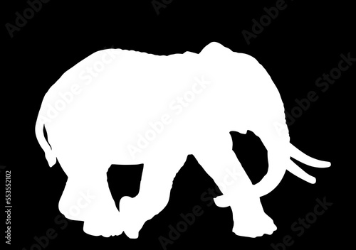 Elephant male vector silhouette illustration isolated on black background. African animal, alert of poacher. Elephant shape shadow symbol. Safari attraction. 