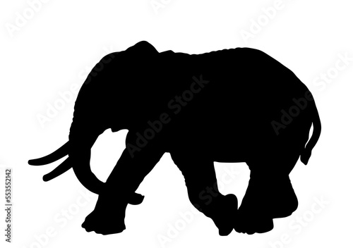 Elephant male vector silhouette illustration isolated on white background. African animal, alert of poacher. Elephant shape shadow symbol. Safari attraction. 