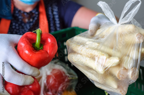 Lebensmittelspende Tafel: Frau mit Handschuhen packt Obst und Gemüse wie frische Paprika in grüne Kisten für die Verteilung an Bedürftige - selektiver Fokus photo