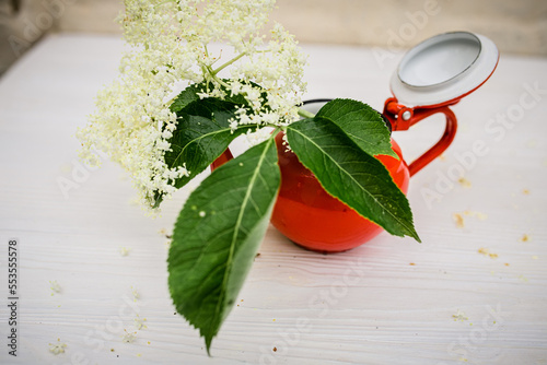 Bouquet of elderberry flowers in a red teapot on a white vintage farm table. Making a refreshing drink from wild flowers growing on shrubs photo