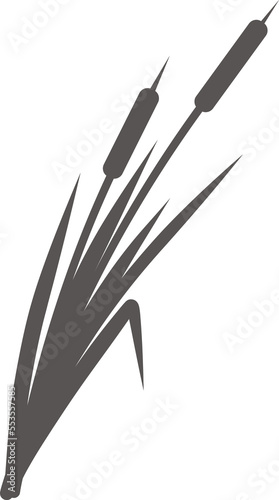 Silhouette of a reed in the grass. Swamp and river plants. Cattail flat illustration 