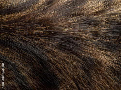 Canvas Print detail of hair - fur - macro photography
