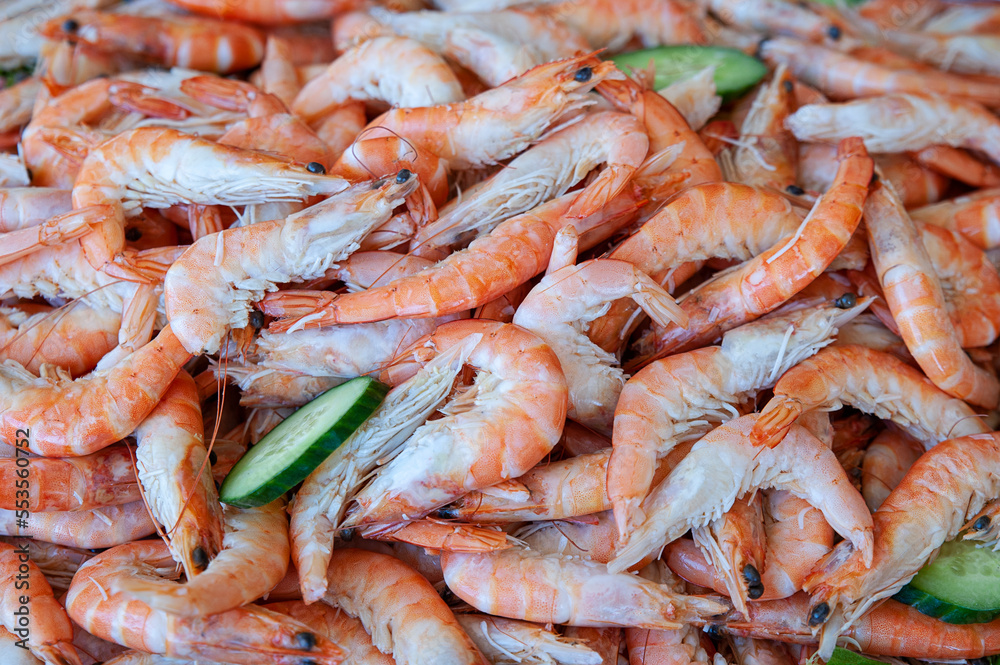 Full plate of cooked prawns, with plump and fresh pink-orange shells, garnished with fresh cucumbers, tasty and nutritious seafood dish, excellent source of high-quality protein and healthy nutrients