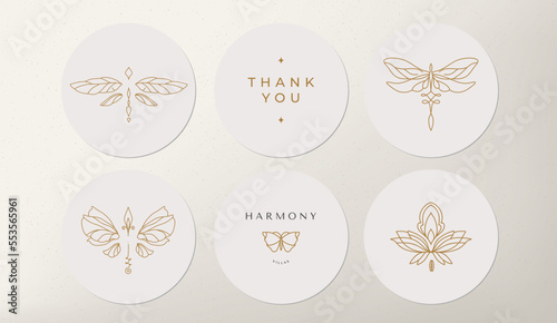 linear template logo symbols with luxury dragonfly on a nude background for social networks